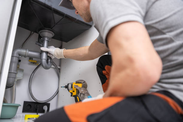 Best Clogged Drain Plumber  in Mapleton, IA